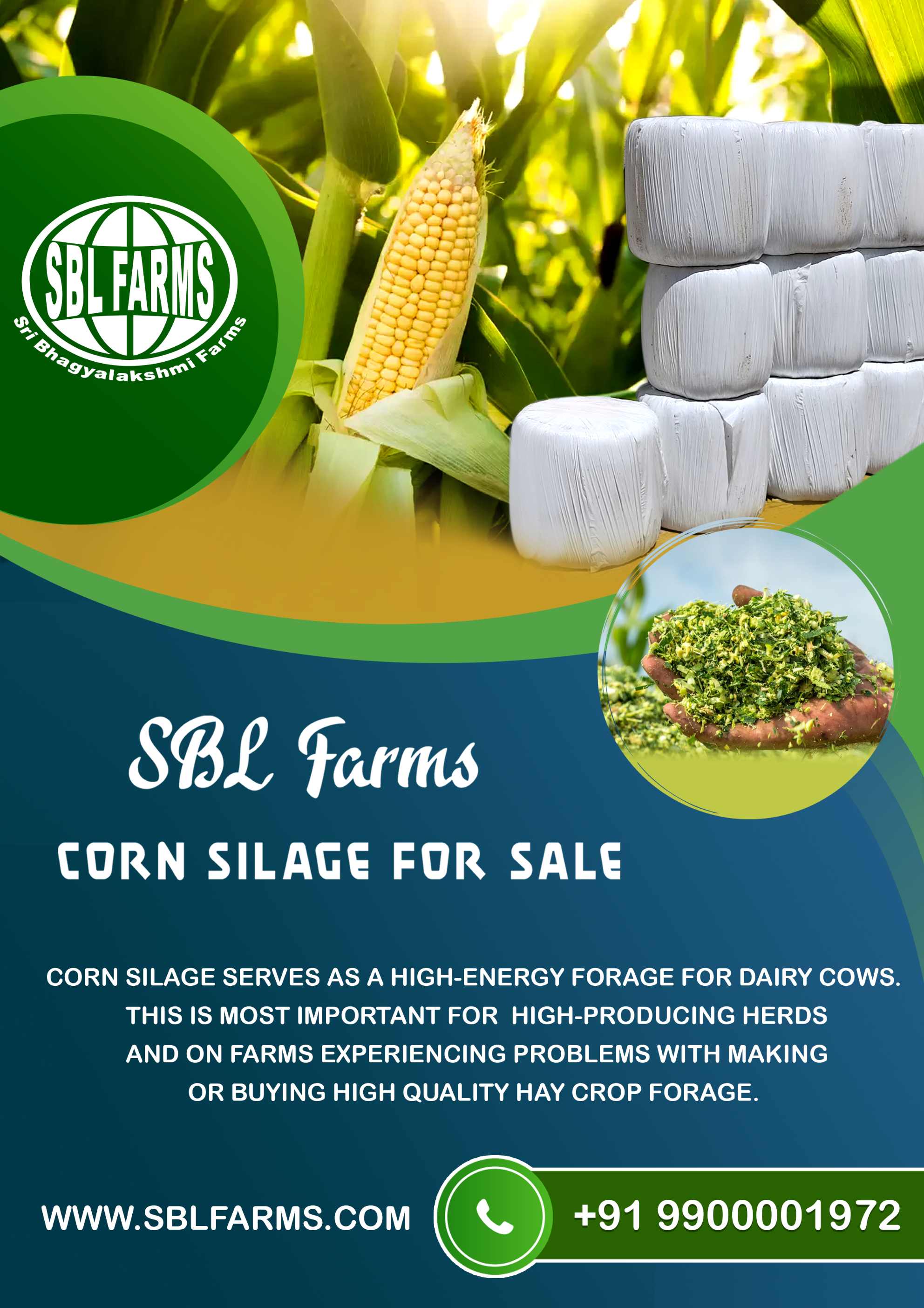 Corn Silage Suppliers in Bangalore | Corn Silage for Sale  |  Corn Silage, Baby Corn Silage manufacturers, suppliers & exporters in Bangalore | corn silage for sale in bangalore |  Sri Bhagyalakshmi Farms Corn Silage Bangalore| Silage Balers | Animal Feed Manufacturers | Production of Silage |Cattle feed manufacturers & suppliers - SBL Farms is solving the biggest fodder crisis in India, by supplying Silage bales, Bailing machines to dairy farmers, Cooperatives, Animal Husbandry | Best Cattle Feed Manufacturers & Silage Suppliers in India | Indias Best Baled Silage Producers